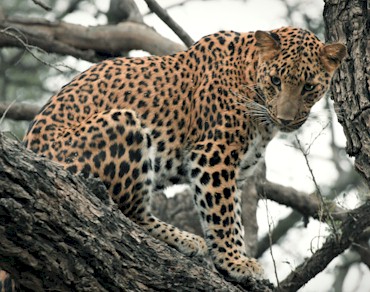 04 Days Rajasthan Tour